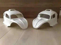 beetle1.webp