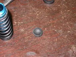 DSCN6049.webp