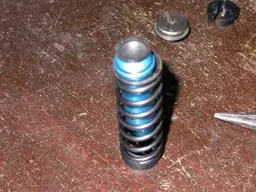DSCN6050.webp