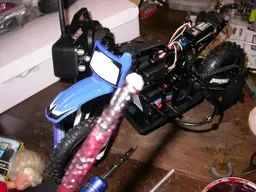 DSCN6062.webp