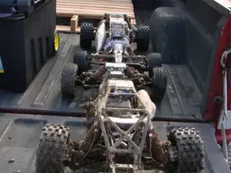 buggy063-1.webp