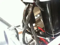 6fv89h.webp