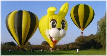 ballonvaarten-ballonvaren-luchtballon-rabbits-ballooning.webp