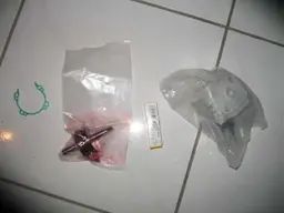 fgmt6.webp