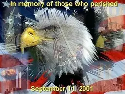 911a.webp