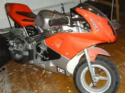 pauly 012.webp