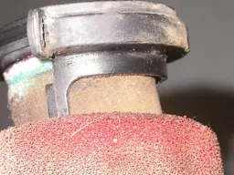 DSCN6512.webp