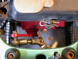 DSCN6535.webp