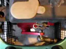 DSCN6537.webp