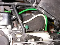 DSCN6574.webp
