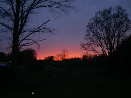 DSCN6579.webp