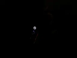 DSCN6714.webp