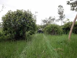 DSC05164.webp