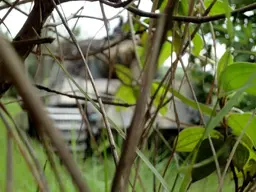 DSC05167.webp
