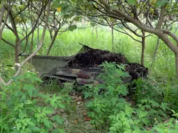 DSC05184.webp