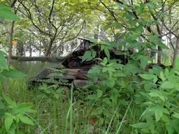 DSC05185.webp