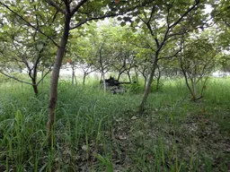 DSC05186.webp