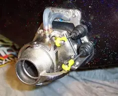 lilsquirt4.webp