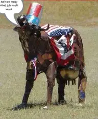 6omm3q.webp