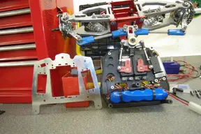 newpicsofmarderleopard014.webp newpicsofmarderleopard014.webp