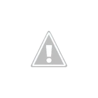 IMAG0383.webp
