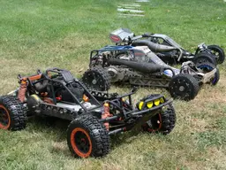 buggy083.webp