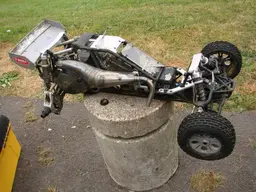 buggy082.webp