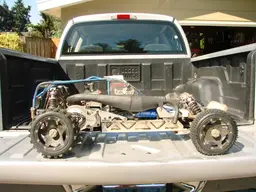 buggy080.webp