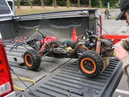 buggy081.webp
