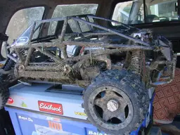 buggy089.webp