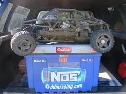 buggy087.webp