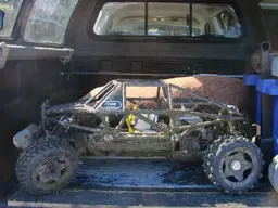 buggy086.webp