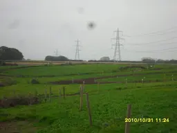 014.webp