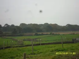 008.webp 008.webp