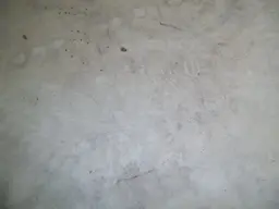 100_3492.webp