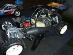 FGmarderleopard010.webp