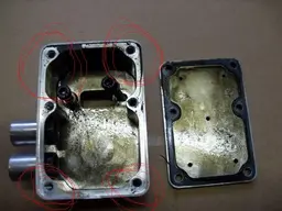 NewCamera2581.webp