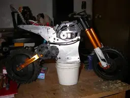 picture.webp