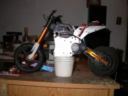 picture.webp