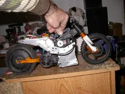 picture.webp