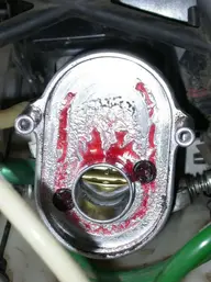 DSCN6564.webp