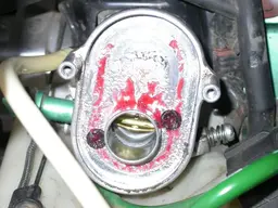 DSCN6565.webp