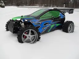 Marderinthesnow124.webp