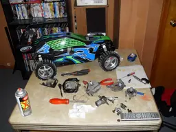 Marderinthesnow178.webp