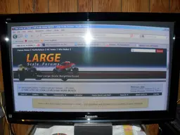Marderinthesnow182.webp