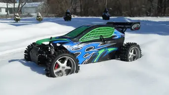 Marderinthesnow143.webp