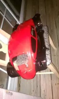 IMAG0564.webp IMAG0564.webp