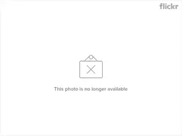 5550956978_ba96644fb5_z.webp