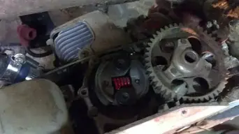 Clutch4Small.webp Clutch4Small.webp