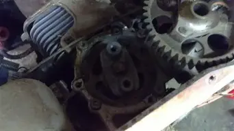 Clutch5Small.webp Clutch5Small.webp